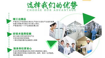 牡蠣杞草片劑OEM加工 聚焦山東市場，賦能企業(yè)網(wǎng)絡技術(shù)服務